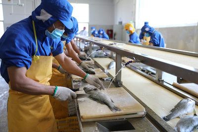 珠海水產(chǎn)養(yǎng)殖業(yè)全面復(fù)工復(fù)產(chǎn) 創(chuàng)新水產(chǎn)方便菜成&ldquo;網(wǎng)紅&rdquo;