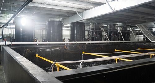 全球人均每年消費(fèi)41斤魚類 漁業(yè)如何可持續(xù)發(fā)展 看海璟水產(chǎn)如何做