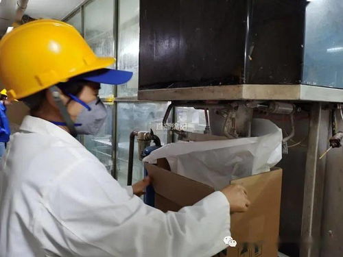 疫情之下逆勢突圍 企業擴大外貿帶動就業