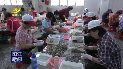 梁崇添:平岡水產(chǎn)養(yǎng)殖的技術(shù)先鋒