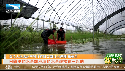 荊楚鄉(xiāng)村謀振興 | 湖北本土茄子是如何走向全國(guó)?