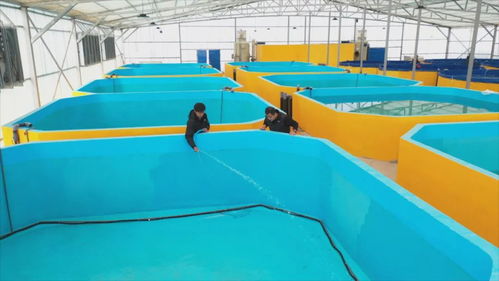 從沙漠鹽堿到 魚蝦滿倉 和田縣新一年備產(chǎn)正酣