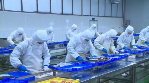 魅力海洋 享健康生活 做精致女人