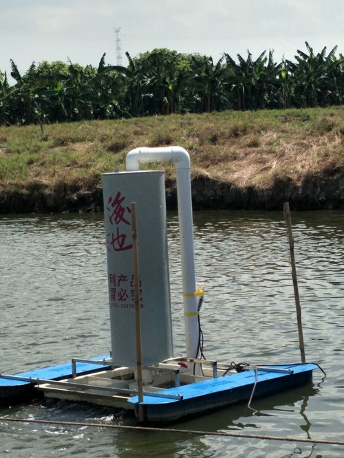 創(chuàng)洋池塘底部增氧機 科技讓水產(chǎn)養(yǎng)殖更省心