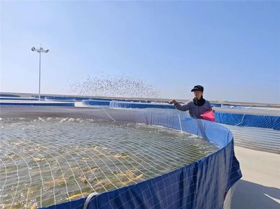 九原區(qū)特色種植養(yǎng)殖點亮鄉(xiāng)村振興新畫卷