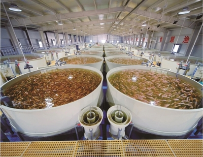 山東省大數(shù)據(jù)局 棗莊 數(shù)據(jù)要素&times;丨嶧城區(qū)古邵鎮(zhèn):數(shù)據(jù)賦能 打造智慧化水產養(yǎng)殖新模式