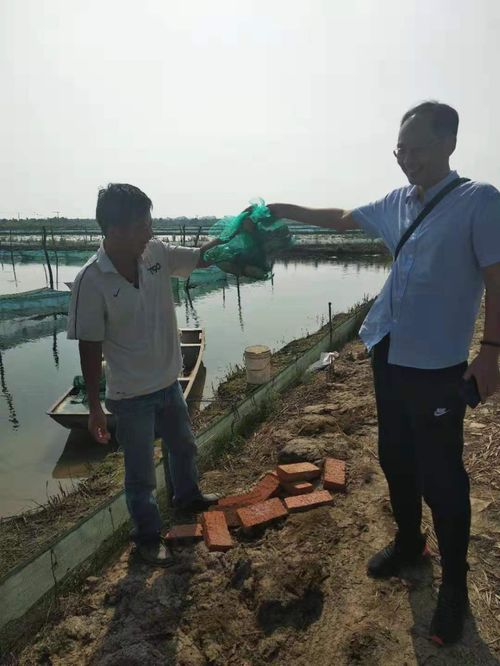 市水產技術推廣站技術人員到戶進行河蟹養(yǎng)殖技術指導