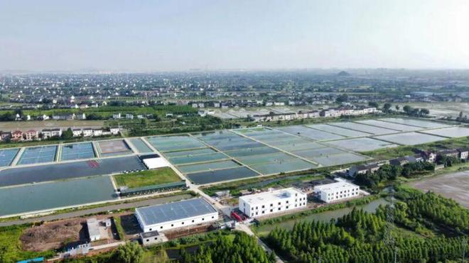 靖江基地一期工程基本完工，水產(chǎn)養(yǎng)殖科研迎來(lái)新突破
