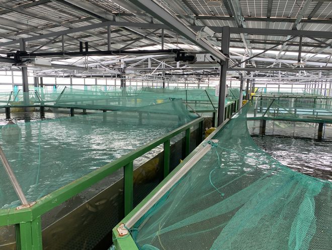 浙江首批“未來農(nóng)場”公布 十大休閑觀光新地標(biāo)，體驗(yàn)未來農(nóng)業(yè)新魅力